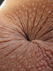 ass hole close up