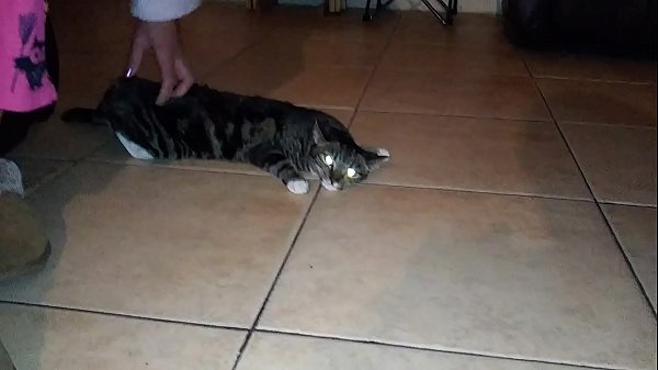 Pussy is twitching from Laura’s caress