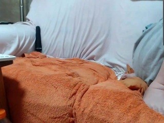 Bipaargeil nude on cam – live sex chat