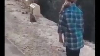 Pakistani tiktoker fucked
