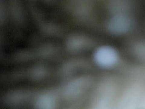 sofi_decker naked stripping on cam for live sex video chat