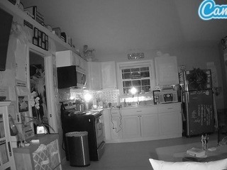 Voyeurcam-bridgetleewalters-01 nude on cam – live sex chat