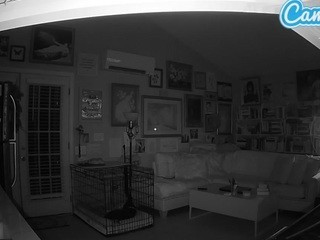 Voyeurcam-bridgetleewalters-02 nude on cam – live sex chat