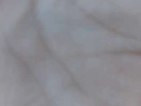 BabygrrrlVixen naked stripping on cam for live sex video chat