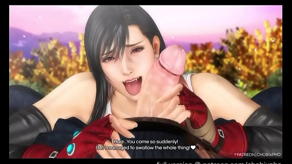 FINAL FANTASY / TIFA x CLOUD: UNDER THE HIGHWIND (CHOBIxPHO)