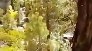 tiktoker viral video sex in murree