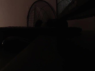 Daphnemartin nude on cam – live sex chat