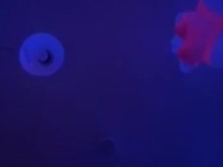 ?, ?MISS?KITTY?KASH?? nude on cam – live sex chat