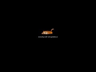Melisa-Moore nude on cam – live sex chat