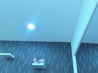 SophieNakamura nude on cam – live sex chat