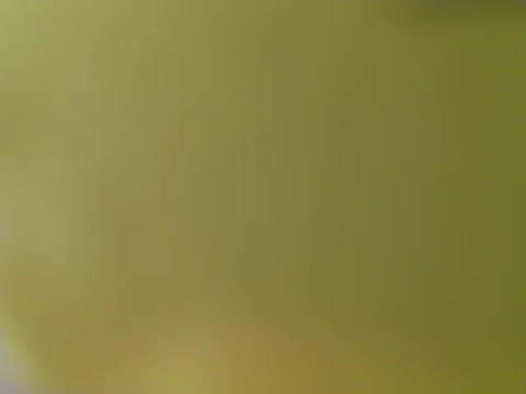 aoi2011 naked stripping on cam for live sex video chat