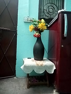 meenu_garg naked stripping on cam for live sex video chat