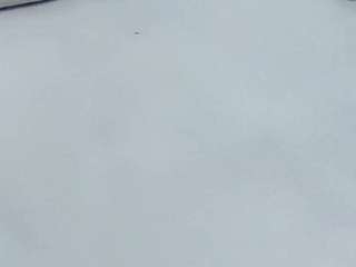AlisaMoon nude on cam – live sex chat