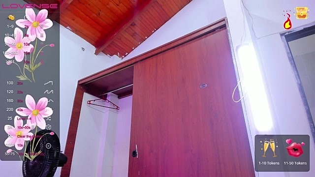 Missyhanna nude stripping on webcam for live sex video chat