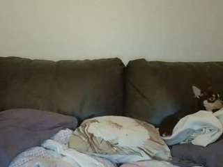 MissSnazzy fully nude on webcam live sex chat