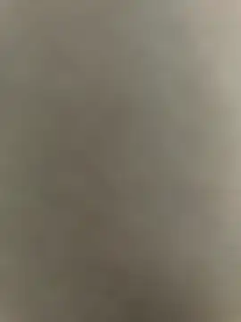 Sylviahhh nude strip on webcam for live sex chat