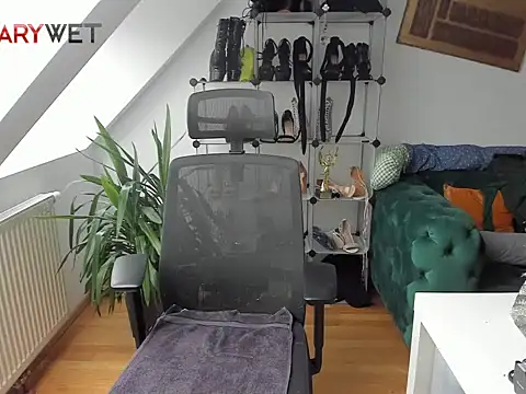 Mary Wet from Stripchat