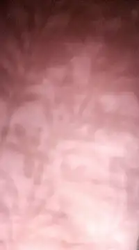 Puspita- from Stripchat