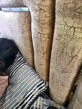 Payaldev-12 from Stripchat