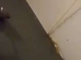 ciciannino Nudes and Live Cam