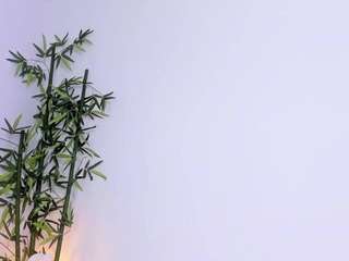 Chloeshade cam Live Nude & Online