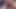 Shy Girlfriend Sucks on my Dick for the Tiktok Views