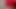 Thicky Latin TikTok