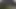 Pakistani Indian bengali slags tiktok