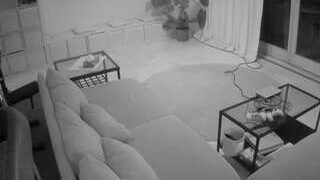 🔥 Sexy voyeurcam-julmodels-living-4 on Camsoda Live Now!